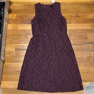 Ann Taylor Factory lace dress